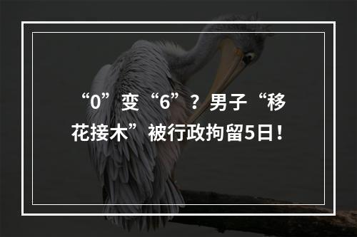 “0”变“6”？男子“移花接木”被行政拘留5日！