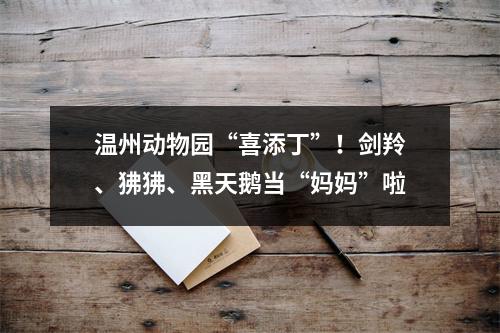 温州动物园“喜添丁”！剑羚、狒狒、黑天鹅当“妈妈”啦