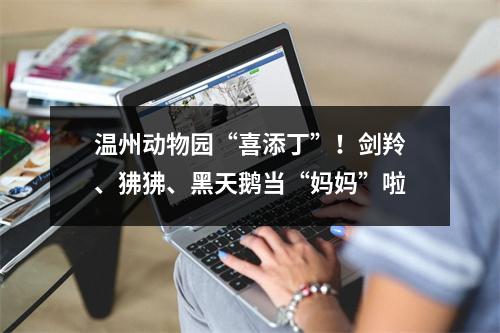 温州动物园“喜添丁”！剑羚、狒狒、黑天鹅当“妈妈”啦
