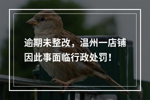 逾期未整改，温州一店铺因此事面临行政处罚！