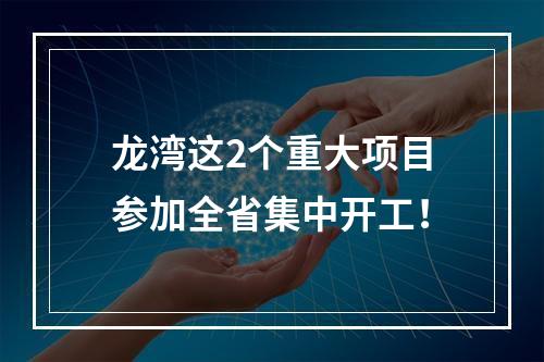 龙湾这2个重大项目参加全省集中开工！