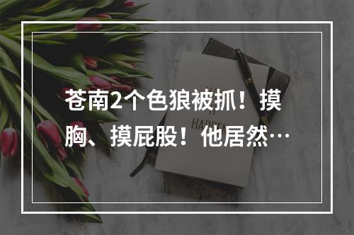 苍南2个色狼被抓！摸胸、摸屁股！他居然…