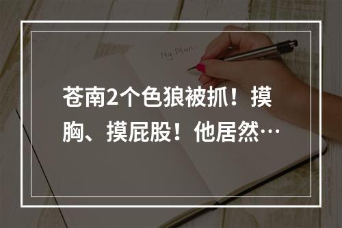苍南2个色狼被抓！摸胸、摸屁股！他居然…
