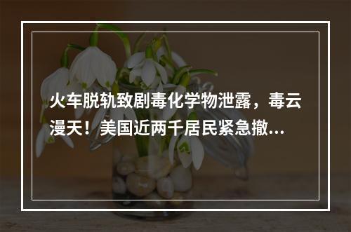 火车脱轨致剧毒化学物泄露，毒云漫天！美国近两千居民紧急撤离