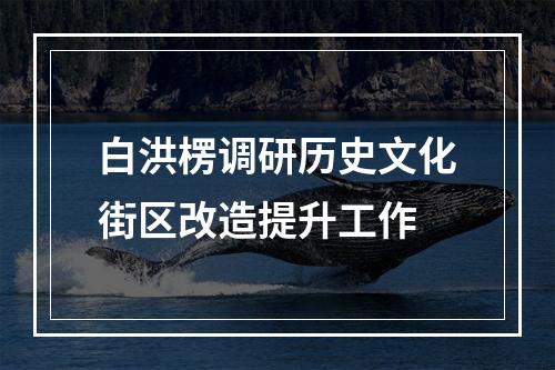 白洪楞调研历史文化街区改造提升工作