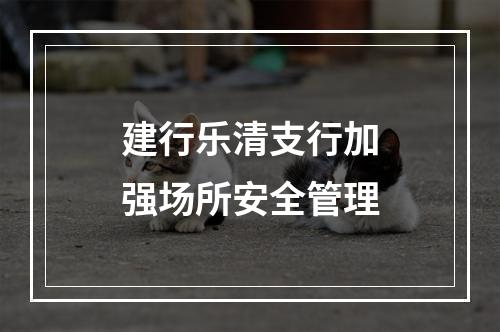 建行乐清支行加强场所安全管理