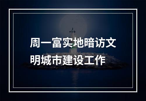 周一富实地暗访文明城市建设工作