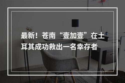 最新！苍南“壹加壹”在土耳其成功救出一名幸存者