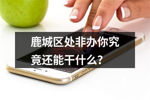 鹿城区处非办你究竟还能干什么？