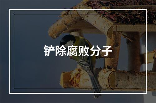 铲除腐败分子