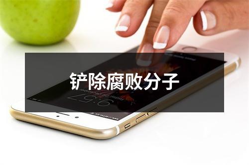 铲除腐败分子
