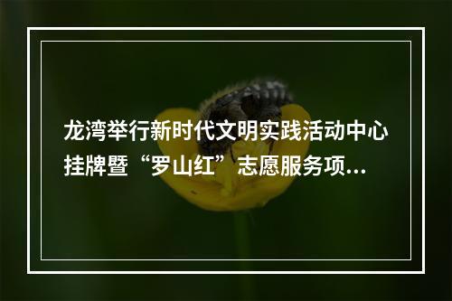 龙湾举行新时代文明实践活动中心挂牌暨“罗山红”志愿服务项目发布仪式