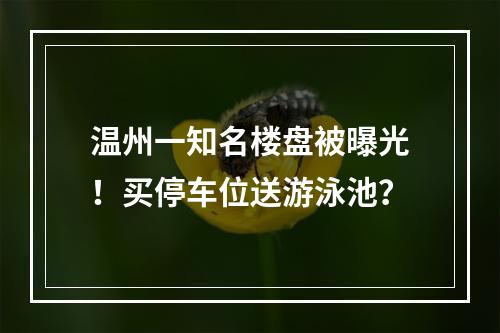 温州一知名楼盘被曝光！买停车位送游泳池？
