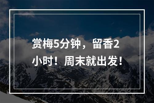 赏梅5分钟，留香2小时！周末就出发！