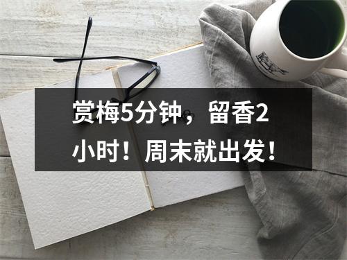 赏梅5分钟，留香2小时！周末就出发！