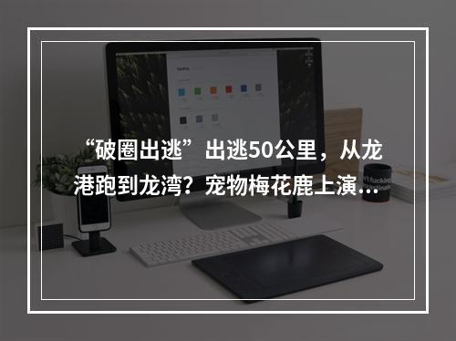 “破圈出逃”出逃50公里，从龙港跑到龙湾？宠物梅花鹿上演现实版“越狱”， ...