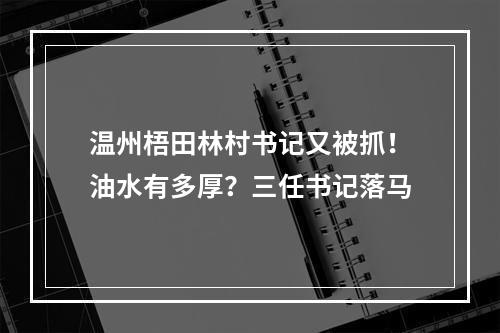 温州梧田林村书记又被抓！油水有多厚？三任书记落马
