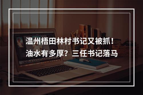 温州梧田林村书记又被抓！油水有多厚？三任书记落马