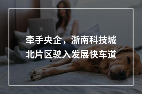 牵手央企，浙南科技城北片区驶入发展快车道