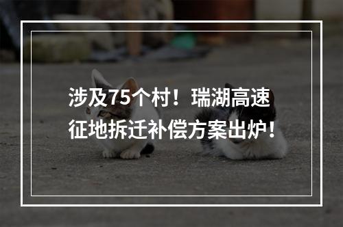 涉及75个村！瑞湖高速征地拆迁补偿方案出炉！