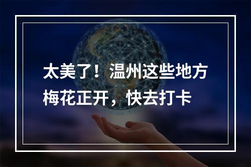 太美了！温州这些地方梅花正开，快去打卡