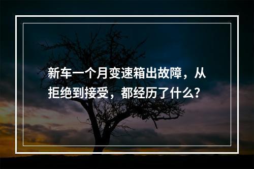 新车一个月变速箱出故障，从拒绝到接受，都经历了什么？