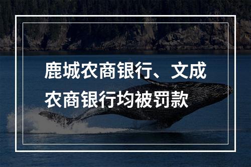 鹿城农商银行、文成农商银行均被罚款