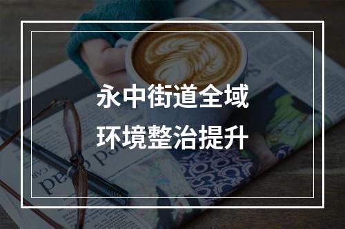 永中街道全域环境整治提升