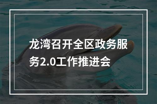 龙湾召开全区政务服务2.0工作推进会