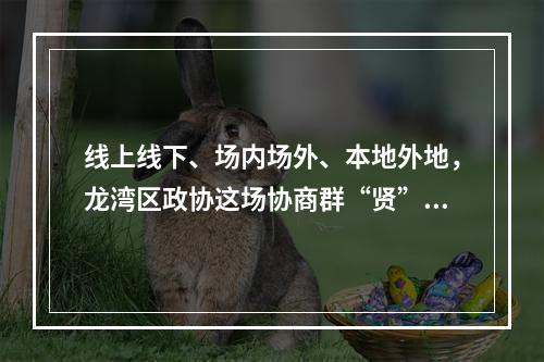 线上线下、场内场外、本地外地，龙湾区政协这场协商群“贤”毕至、有声有色！