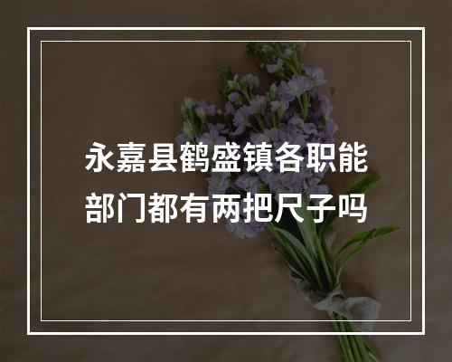 永嘉县鹤盛镇各职能部门都有两把尺子吗