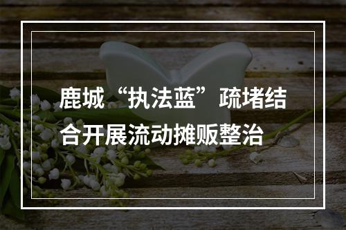 鹿城“执法蓝”疏堵结合开展流动摊贩整治