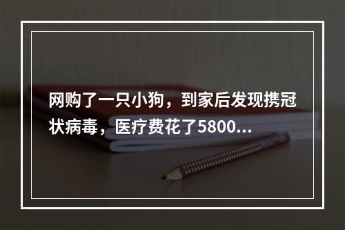 网购了一只小狗，到家后发现携冠状病毒，医疗费花了5800多元！