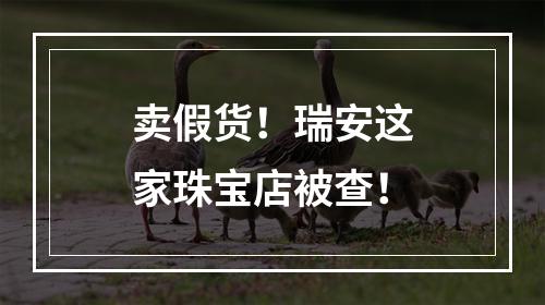 卖假货！瑞安这家珠宝店被查！