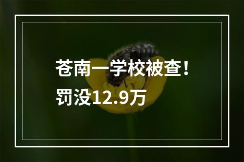 苍南一学校被查！罚没12.9万