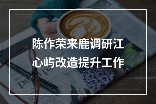 陈作荣来鹿调研江心屿改造提升工作