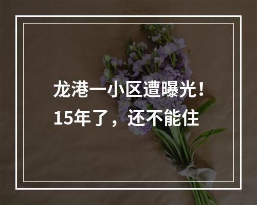 龙港一小区遭曝光！15年了，还不能住