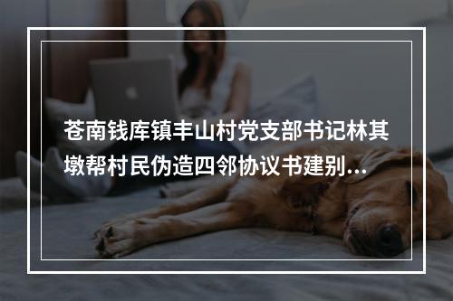 苍南钱库镇丰山村党支部书记林其墩帮村民伪造四邻协议书建别墅