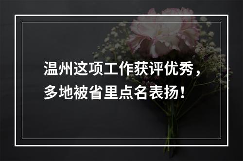 温州这项工作获评优秀，多地被省里点名表扬！