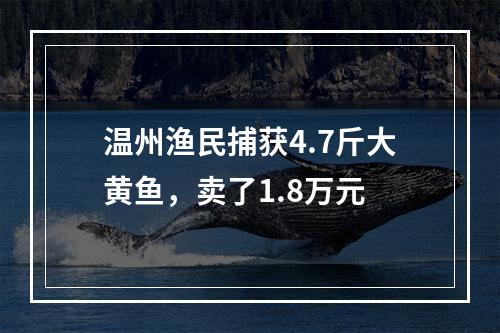 温州渔民捕获4.7斤大黄鱼，卖了1.8万元