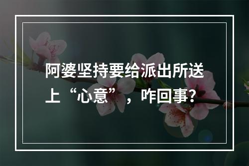 阿婆坚持要给派出所送上“心意”，咋回事？