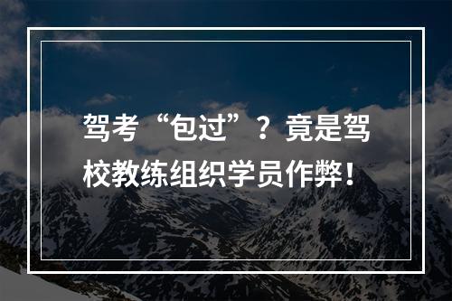 驾考“包过”？竟是驾校教练组织学员作弊！