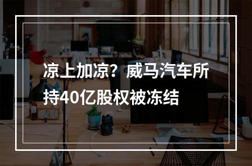 凉上加凉？威马汽车所持40亿股权被冻结
