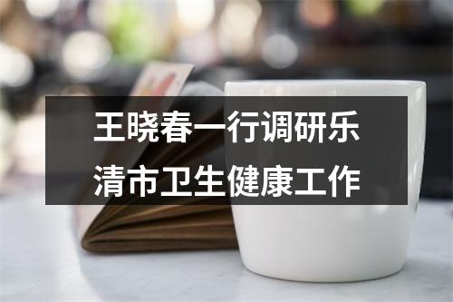 王晓春一行调研乐清市卫生健康工作