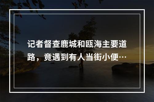 记者督查鹿城和瓯海主要道路，竟遇到有人当街小便…