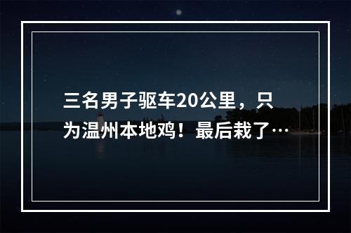 三名男子驱车20公里，只为温州本地鸡！最后栽了…