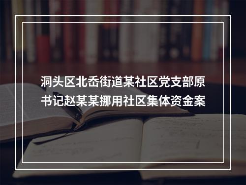 洞头区北岙街道某社区党支部原书记赵某某挪用社区集体资金案
