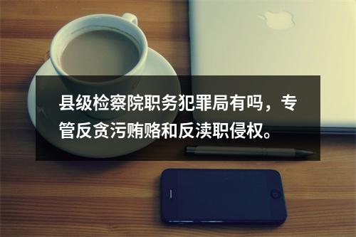 县级检察院职务犯罪局有吗，专管反贪污贿赂和反渎职侵权。