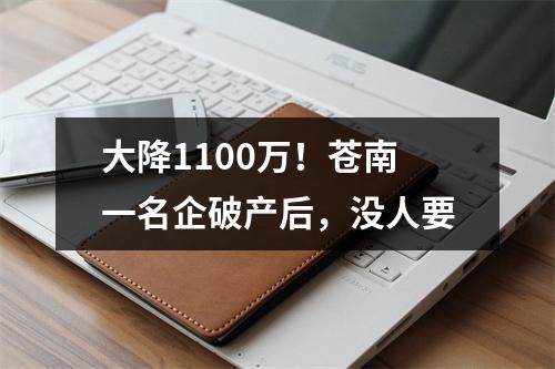 大降1100万！苍南一名企破产后，没人要