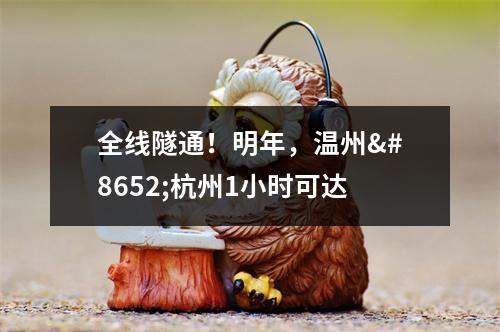 全线隧通！明年，温州⇌杭州1小时可达